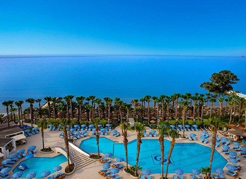 בריכת נופש רחבה של מלון בקפריסין, מוקפת בעצי דקל גבוהים וכיסאות עם שמשיות כחולות